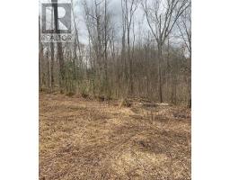 1154 Delia Road, Bracebridge, ON P0B1L0 Photo 7