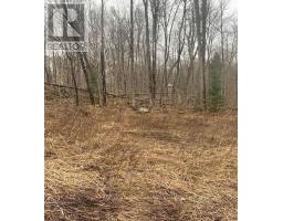1154 Delia Road, Bracebridge, ON P0B1L0 Photo 8