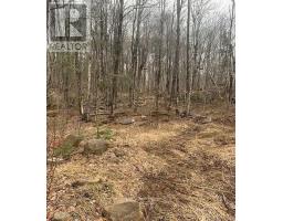 1154 Delia Road, Bracebridge, ON P0B1L0 Photo 9
