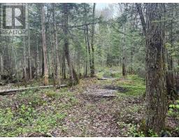 0 Bear Cave Road, Muskoka Lakes, ON P0C1J0 Photo 12