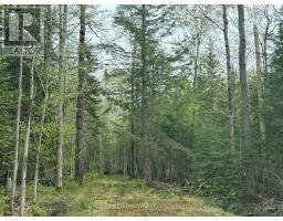 0 Bear Cave Road, Muskoka Lakes, ON P0C1J0 Photo 10