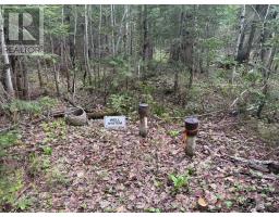 0 Bear Cave Road, Muskoka Lakes, ON P0C1J0 Photo 7