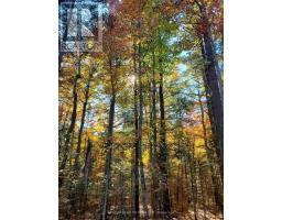 0 Bear Cave Road, Muskoka Lakes, ON P0C1J0 Photo 9