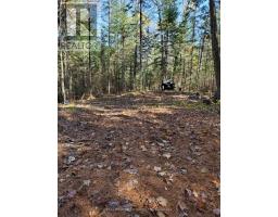 0 Bear Cave Road, Muskoka Lakes, ON P0C1J0 Photo 11