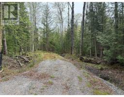 0 Bear Cave Road, Muskoka Lakes, ON P0C1J0 Photo 6