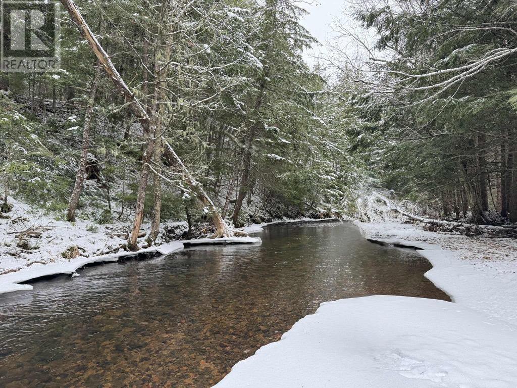 Property 44 of 51 of 420 Highway 246