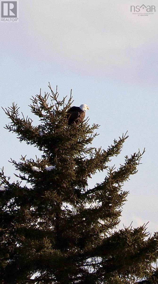 Property 45 of 45 of 671 South Shore Road