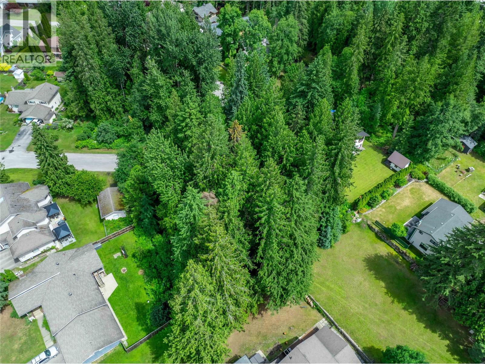 1571 Pratico Road, Revelstoke