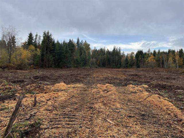 8295 264 STREET, Langley