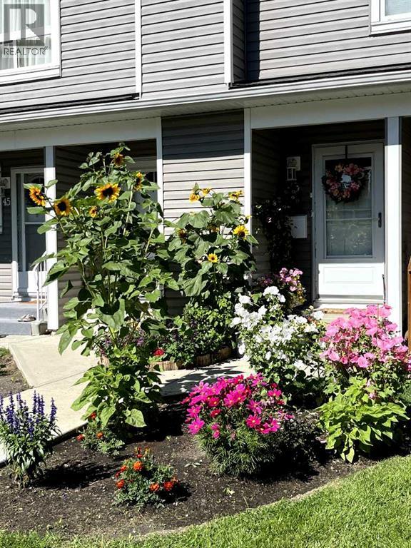 Single Family House for Sale in   Shawnessy Drive SW Shawnessy Calgary 