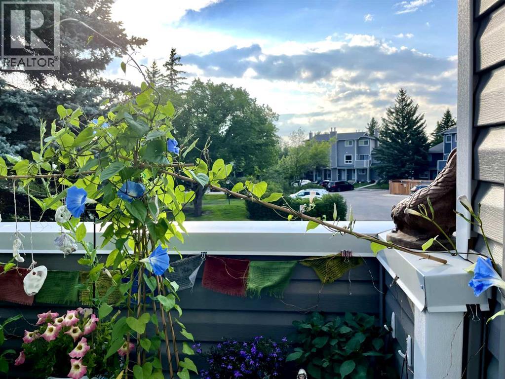 Single Family House for Sale in   Shawnessy Drive SW Shawnessy Calgary 