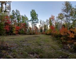 Acreage 22.0 Acres Point Pleasant Road, Murray River, PE C0A1W0 Photo 16