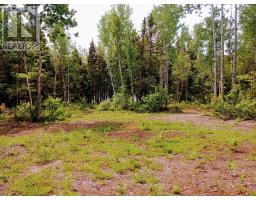 Acreage 22.0 Acres Point Pleasant Road, Murray River, PE C0A1W0 Photo 11