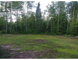 Acreage 22.0 Acres Point Pleasant Road, Murray River, PE C0A1W0 Photo 13