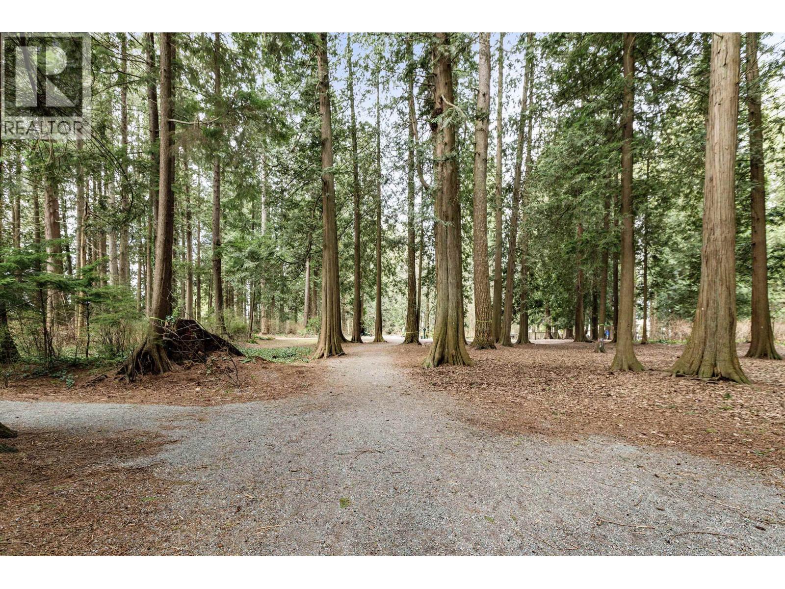 212 19122 122 AVENUE, Pitt Meadows