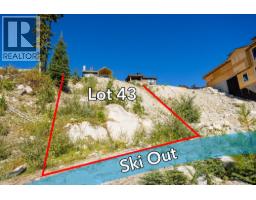  465 Feathertop Way, Big White