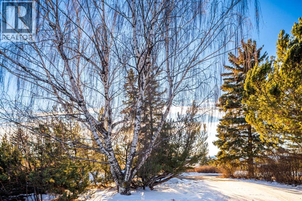 Single Family House Bungalow for Sale in  Slopeview Drive SW Springbank Hill Calgary 