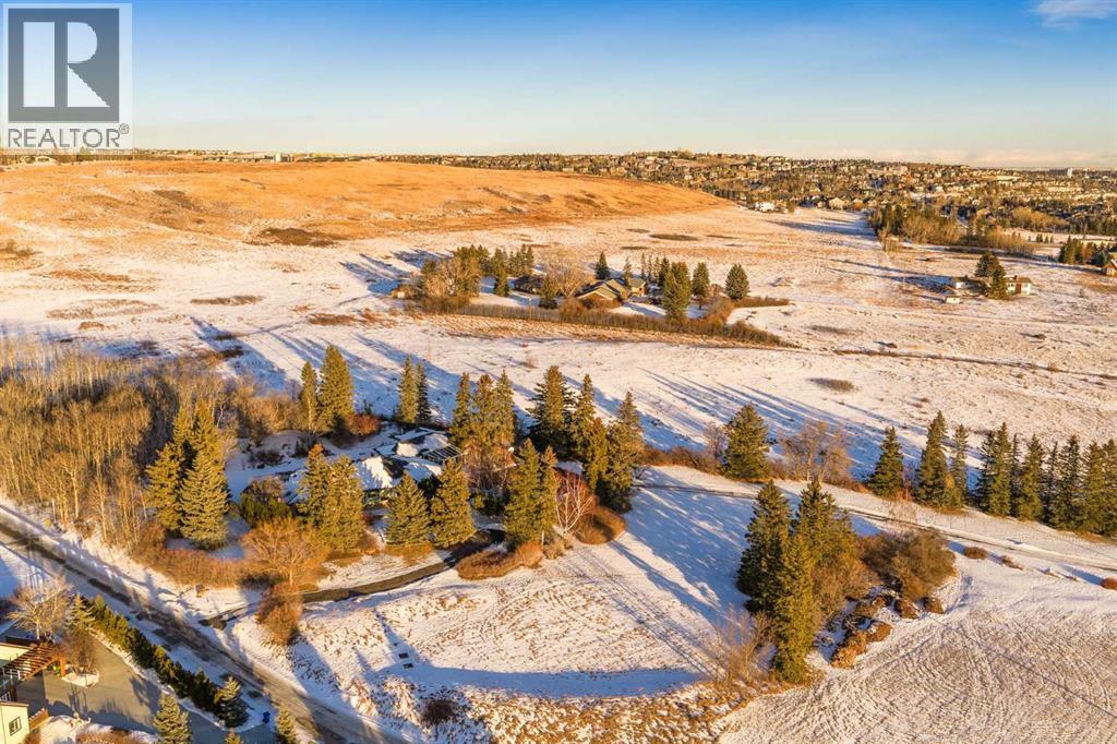 187 SLOPEVIEW DRIVE SW - 19