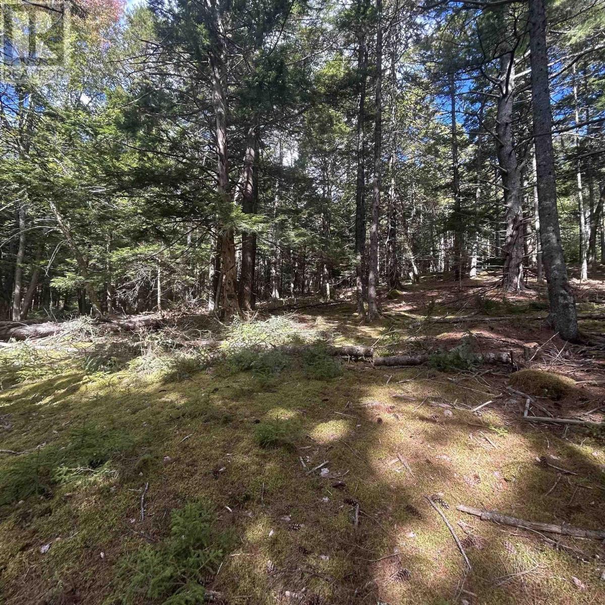 Property 4 of 8 of Lot 25-3 Conquerall Mills Road