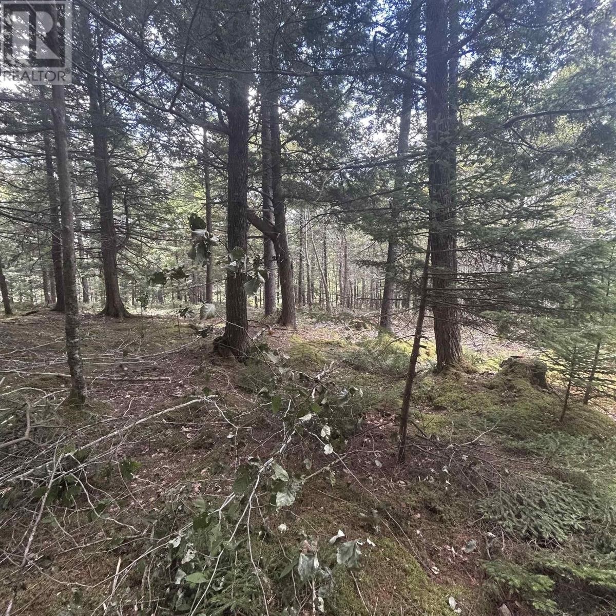 Property 3 of 8 of Lot 25-2 Conquerall Mills Road