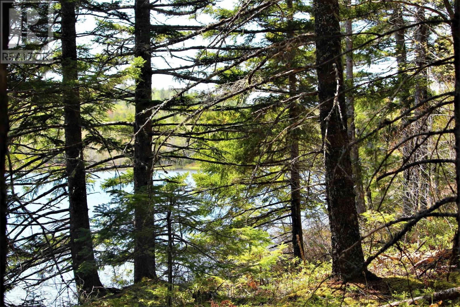 Property 5 of 11 of 2 Laconia Road