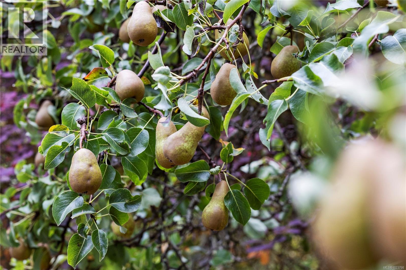 5171 Island Hwy W, Qualicum Beach