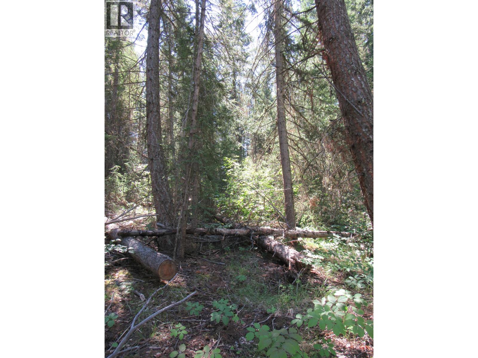 LOT 194 BERGSTROM ROAD - Photo 3 of 11, Deka Lake / Sulphurous / Hathaway Lakes, British Columbia