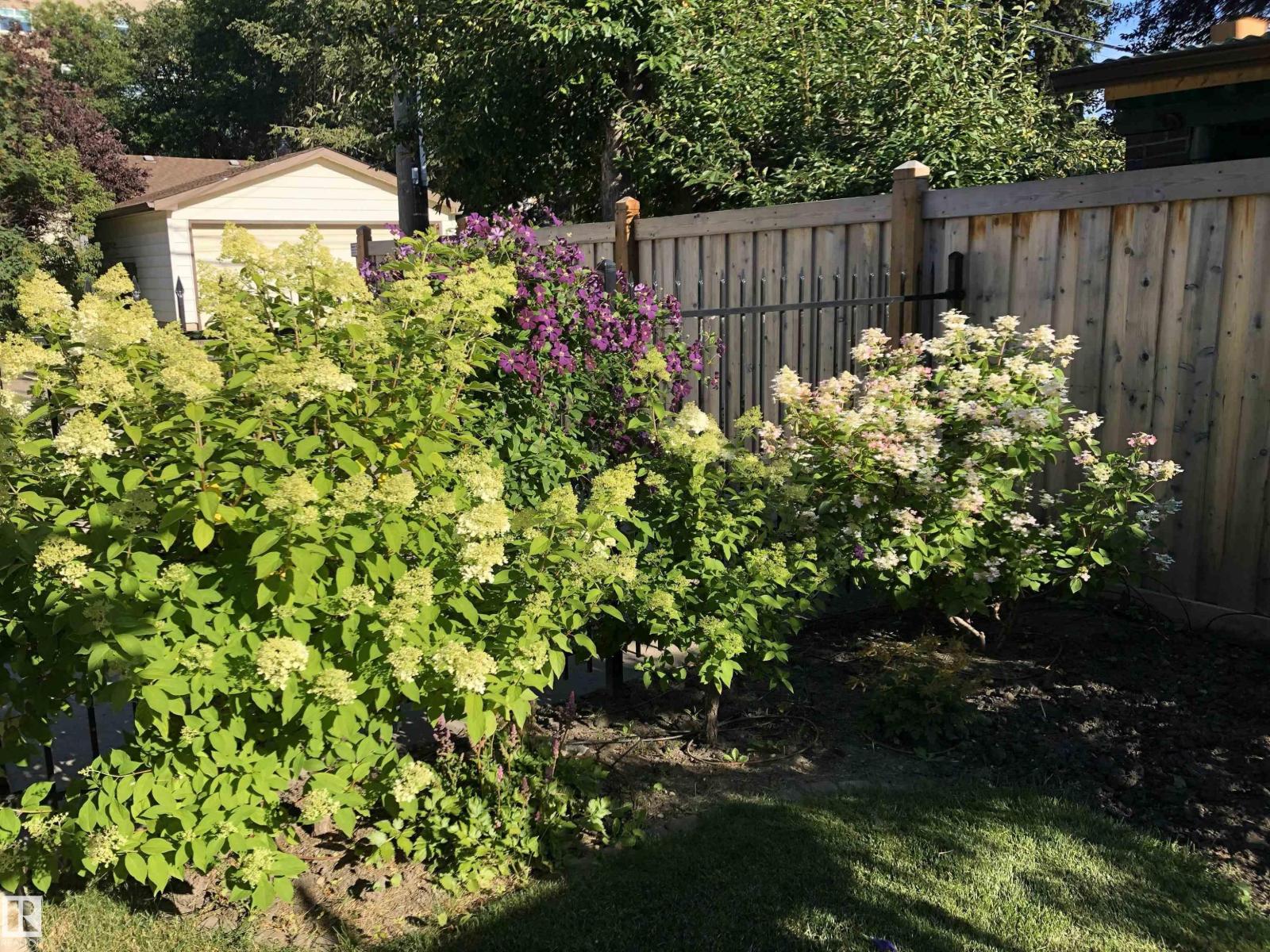 9135 117 ST NW, Edmonton