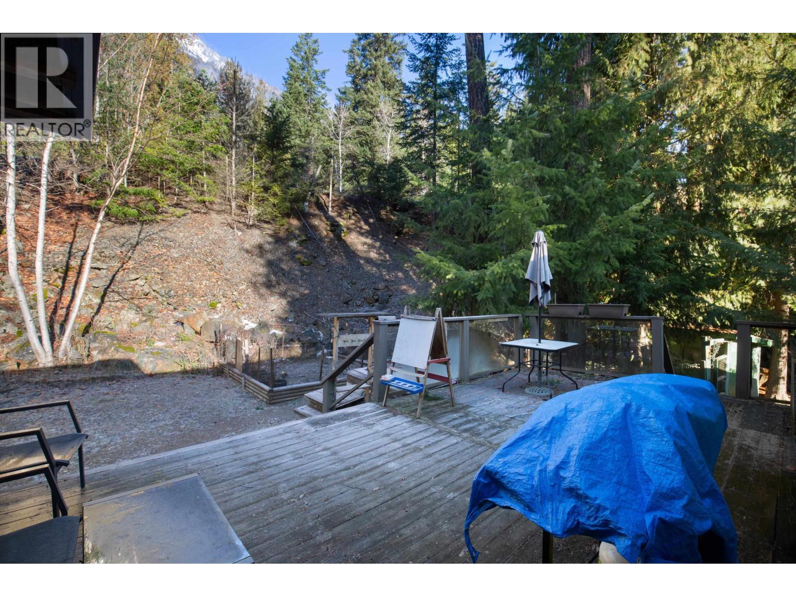 9245 PEMBERTON PORTAGE ROAD — photo 21