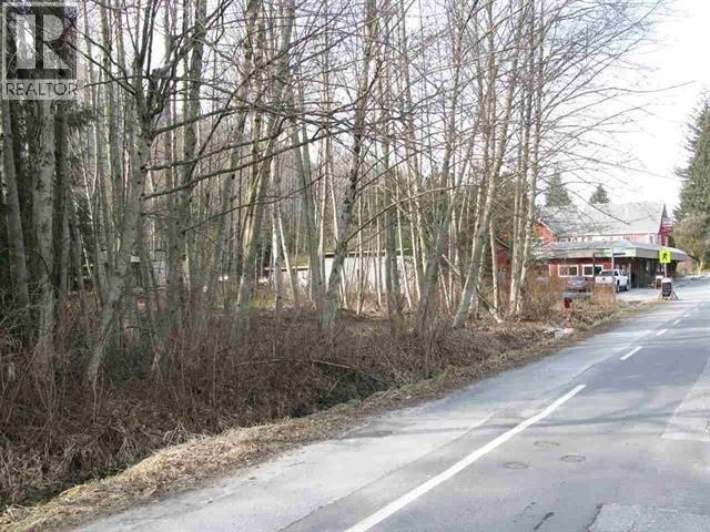 Vacant Land in Squamish - Image 5