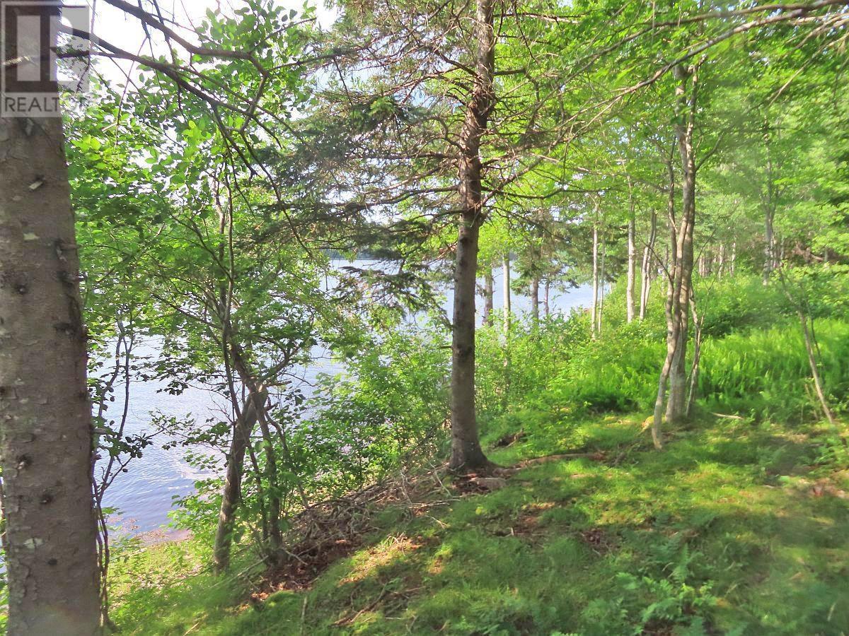 Property 14 of 30 of 2018-34Y Evanston Road, Stephen Augustin Dr