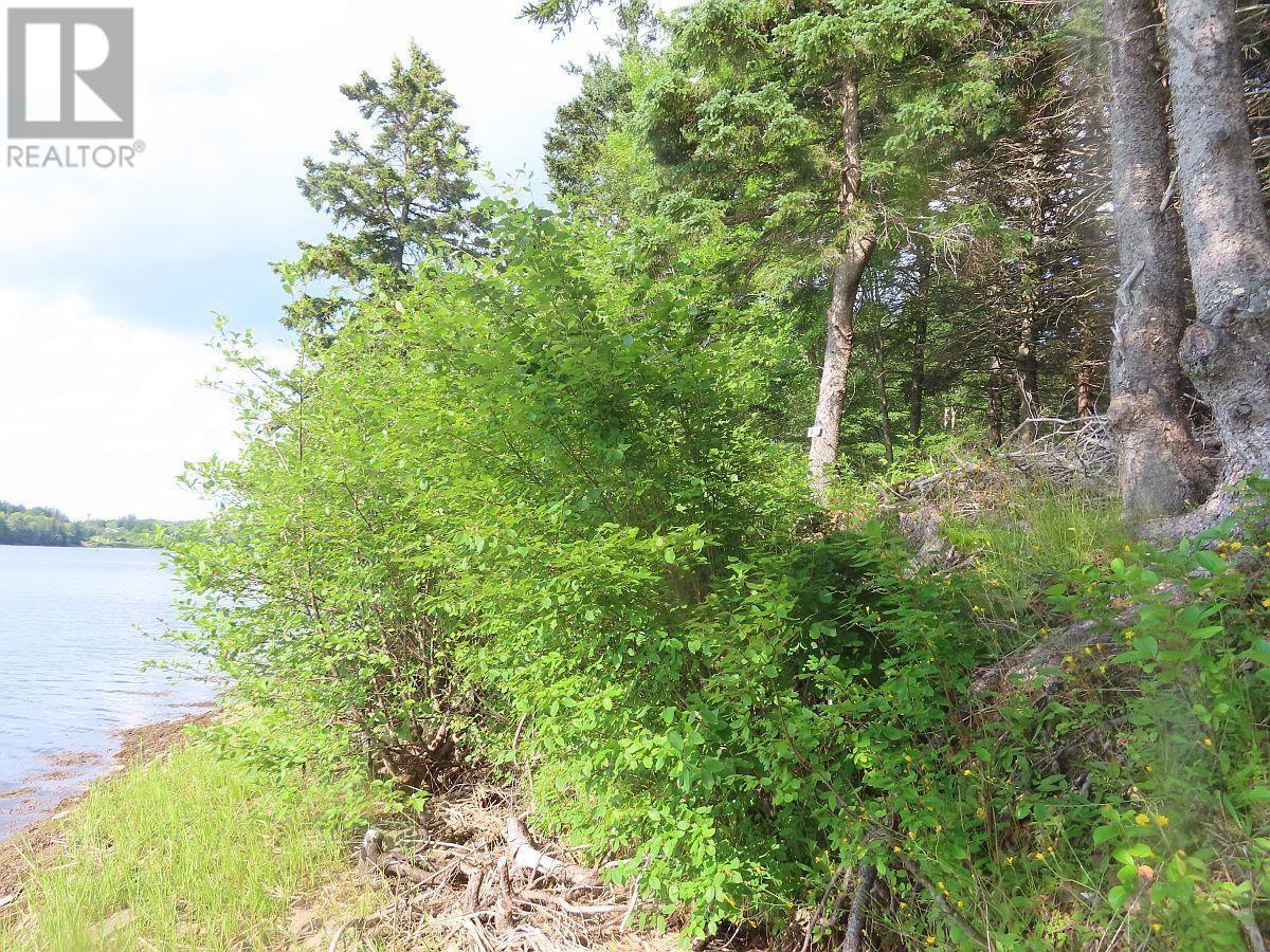 Property 18 of 30 of 2018-34Y Evanston Road, Stephen Augustin Dr