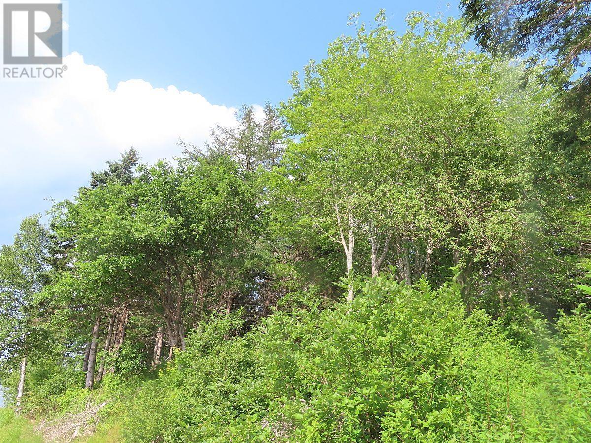 Property 16 of 30 of 2018-34Y Evanston Road, Stephen Augustin Dr