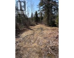 75 Pomeroy Ridge Road, Pomeroy Ridge, NB E3L5L9 Photo 10