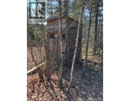 75 Pomeroy Ridge Road, Pomeroy Ridge, NB E3L5L9 Photo 6