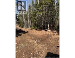 75 Pomeroy Ridge Road, Pomeroy Ridge, NB E3L5L9 Photo 8