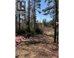 75 Pomeroy Ridge Road, Pomeroy Ridge, NB E3L5L9 Photo 9