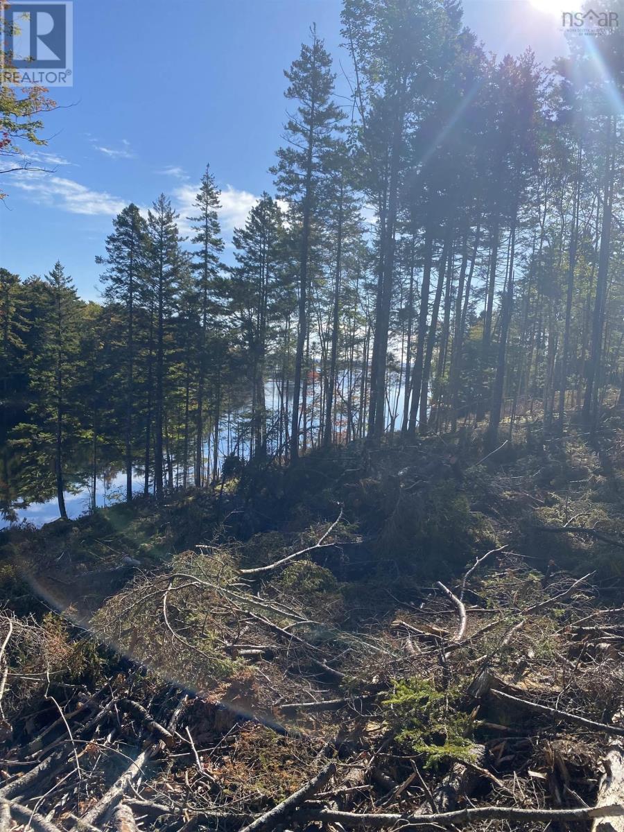 Property 10 of 15 of Lot 2 Highway 103