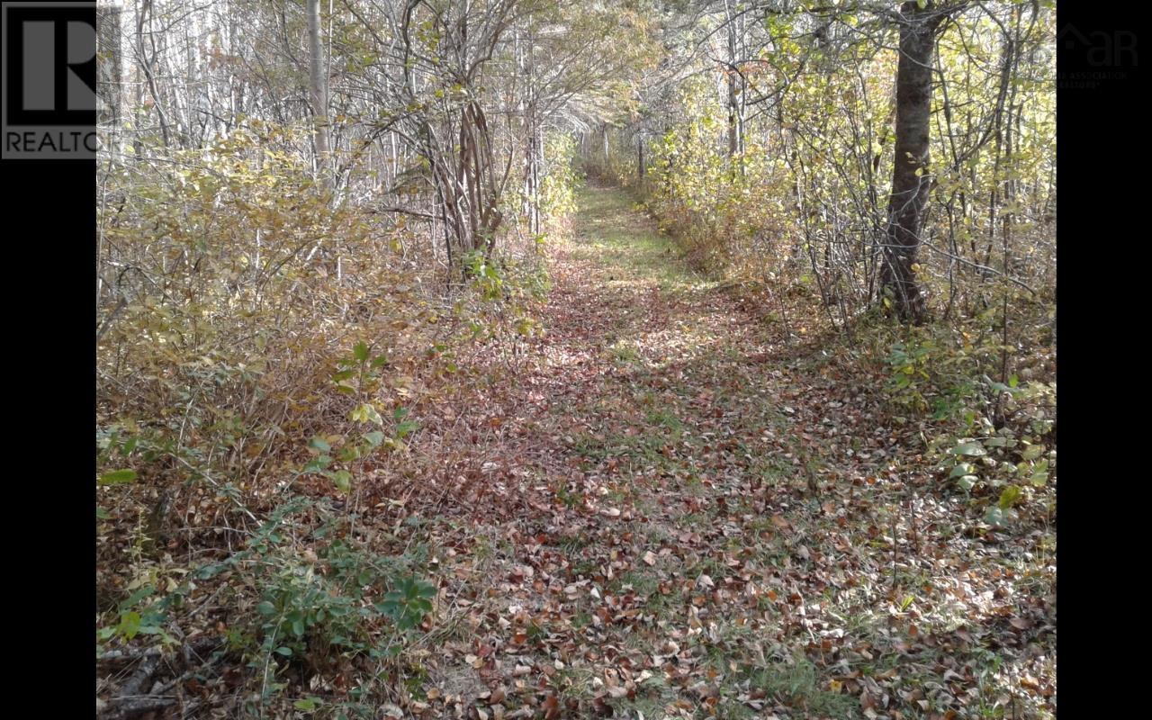 Property 3 of 13 of Lot Shore Road