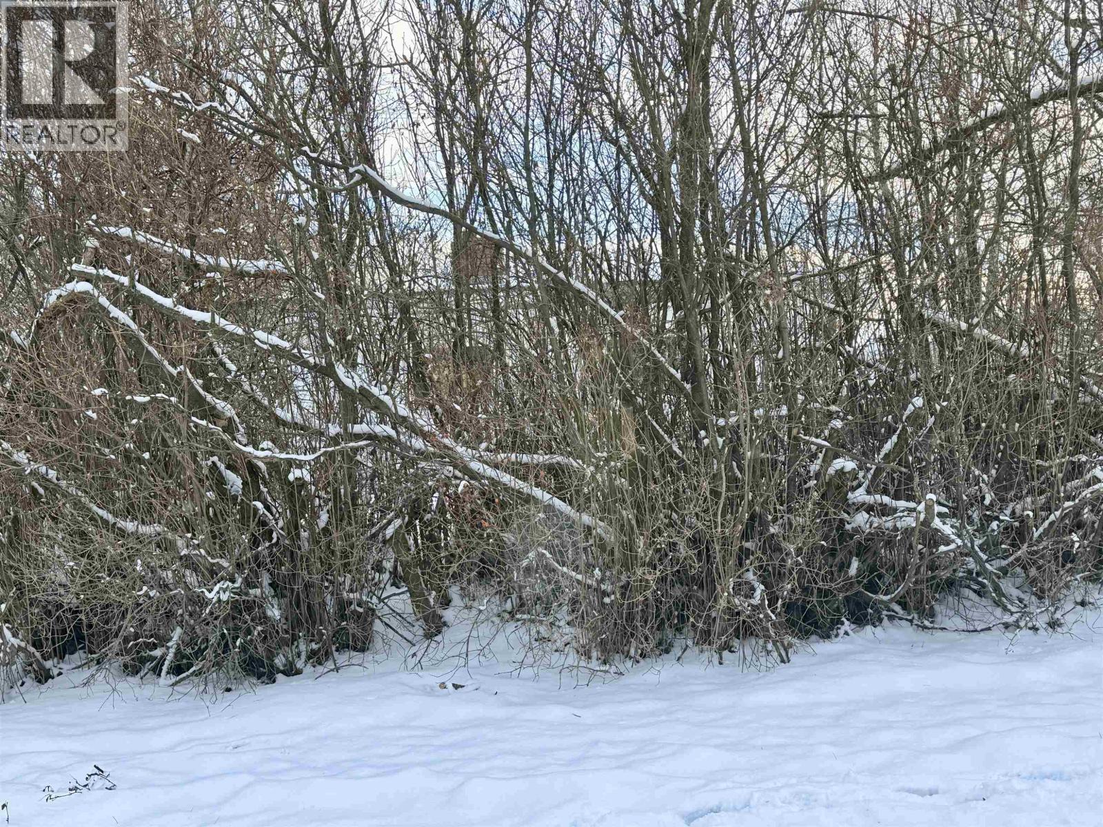 1410 BURDEN STREET, Prince George