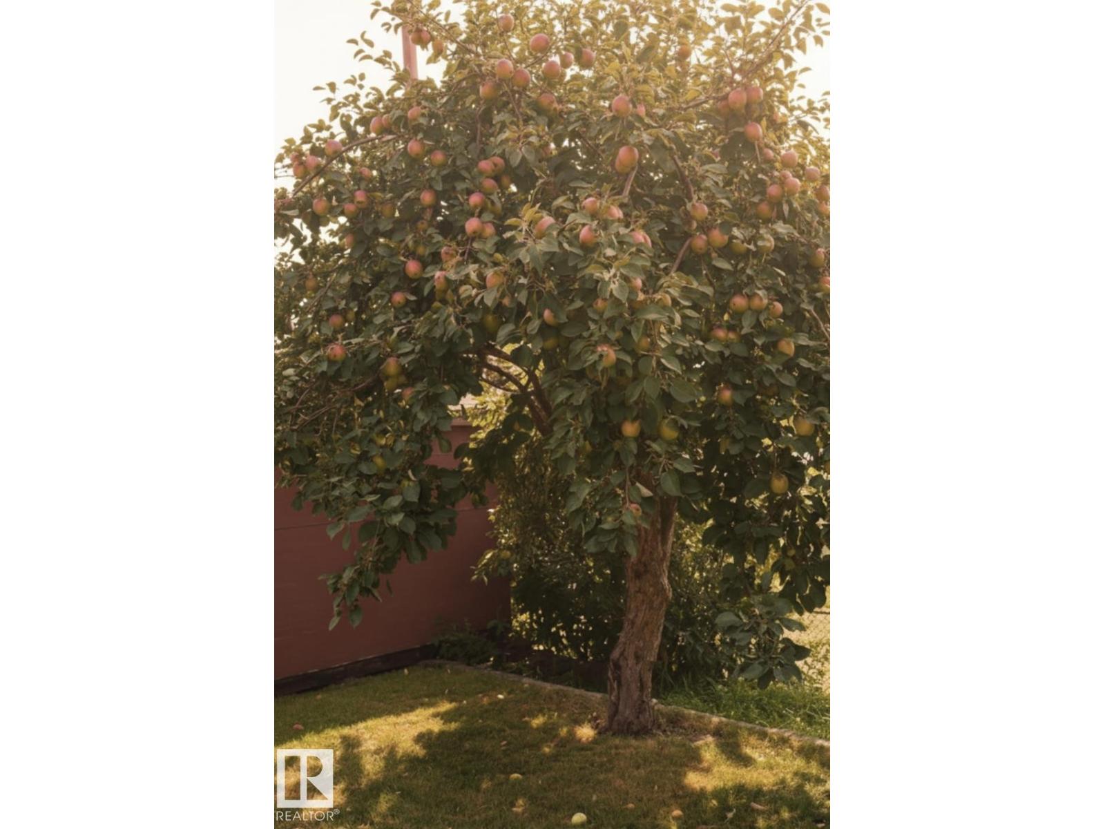 36 SUNSET BLVD, St. Albert