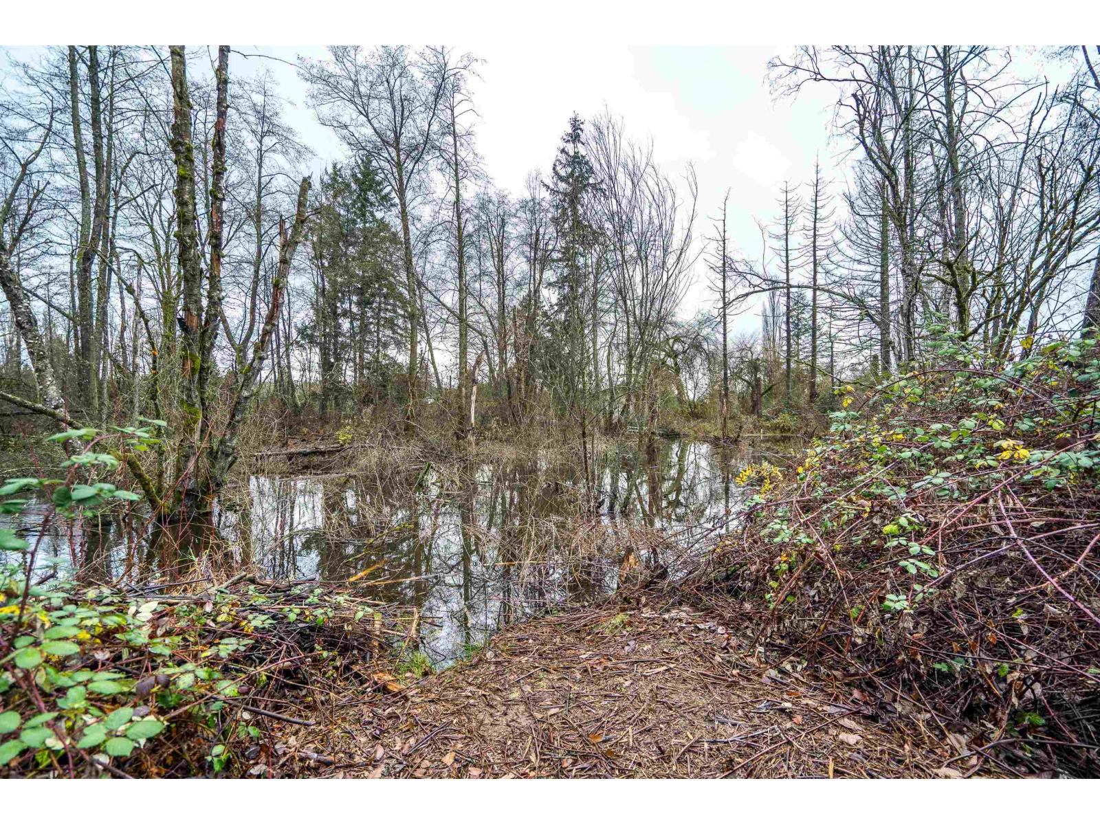 3011 184 STREET, Surrey