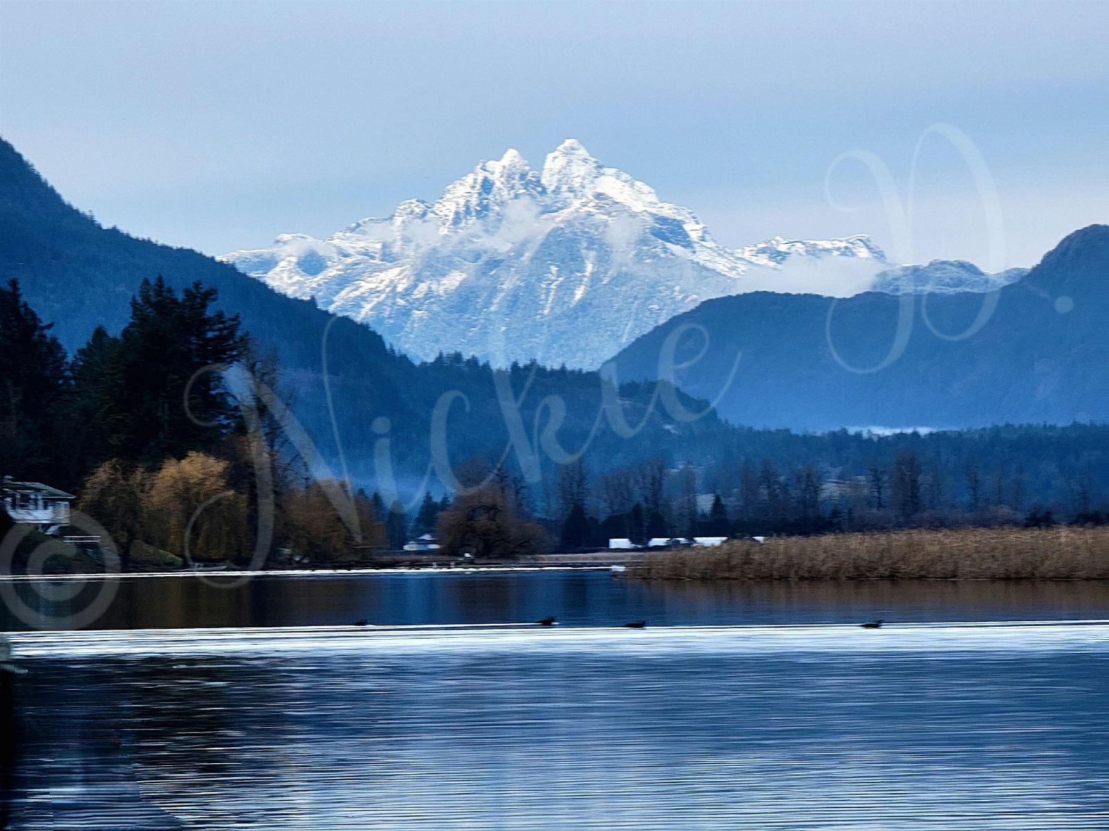 302 8400 SHOOK ROAD, Mission