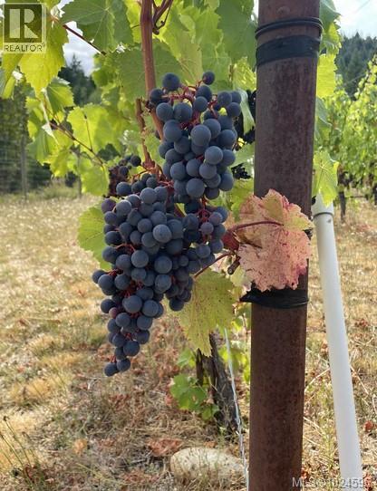 1680 Peligren Pl, Qualicum Beach