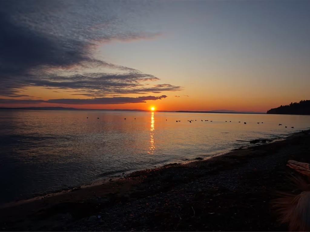 14737 GORDON AVENUE, White Rock