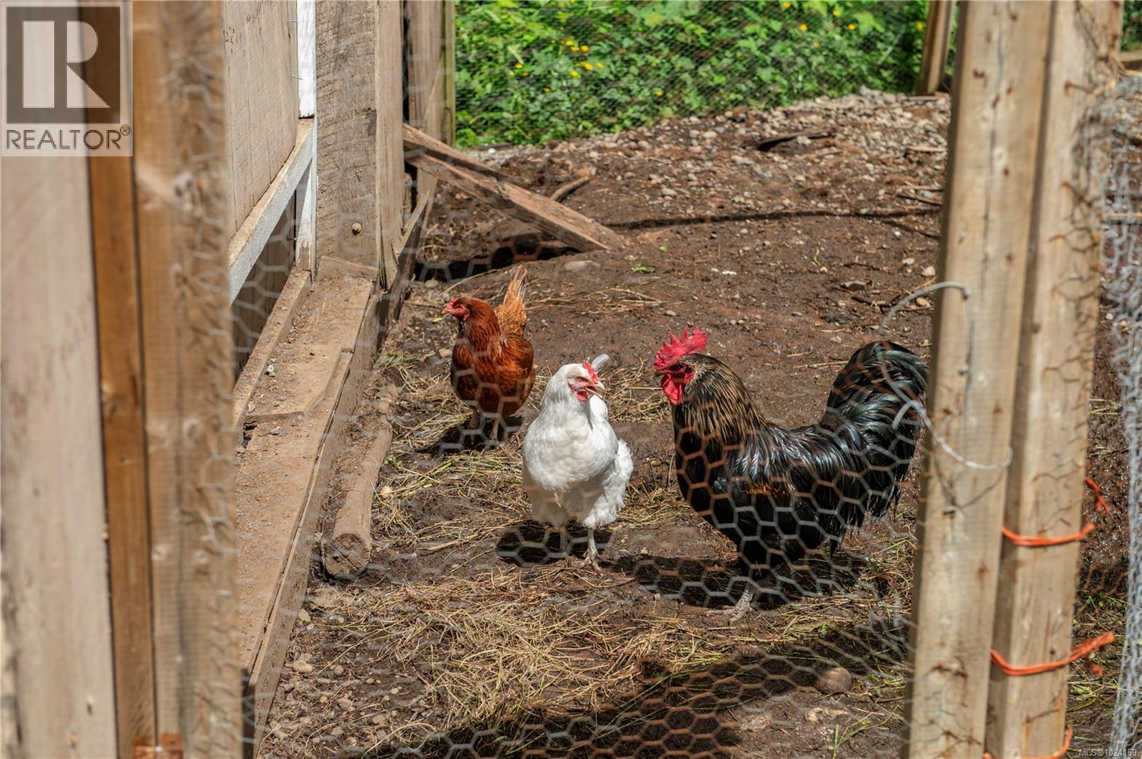 870 Sayward Rd, Sayward