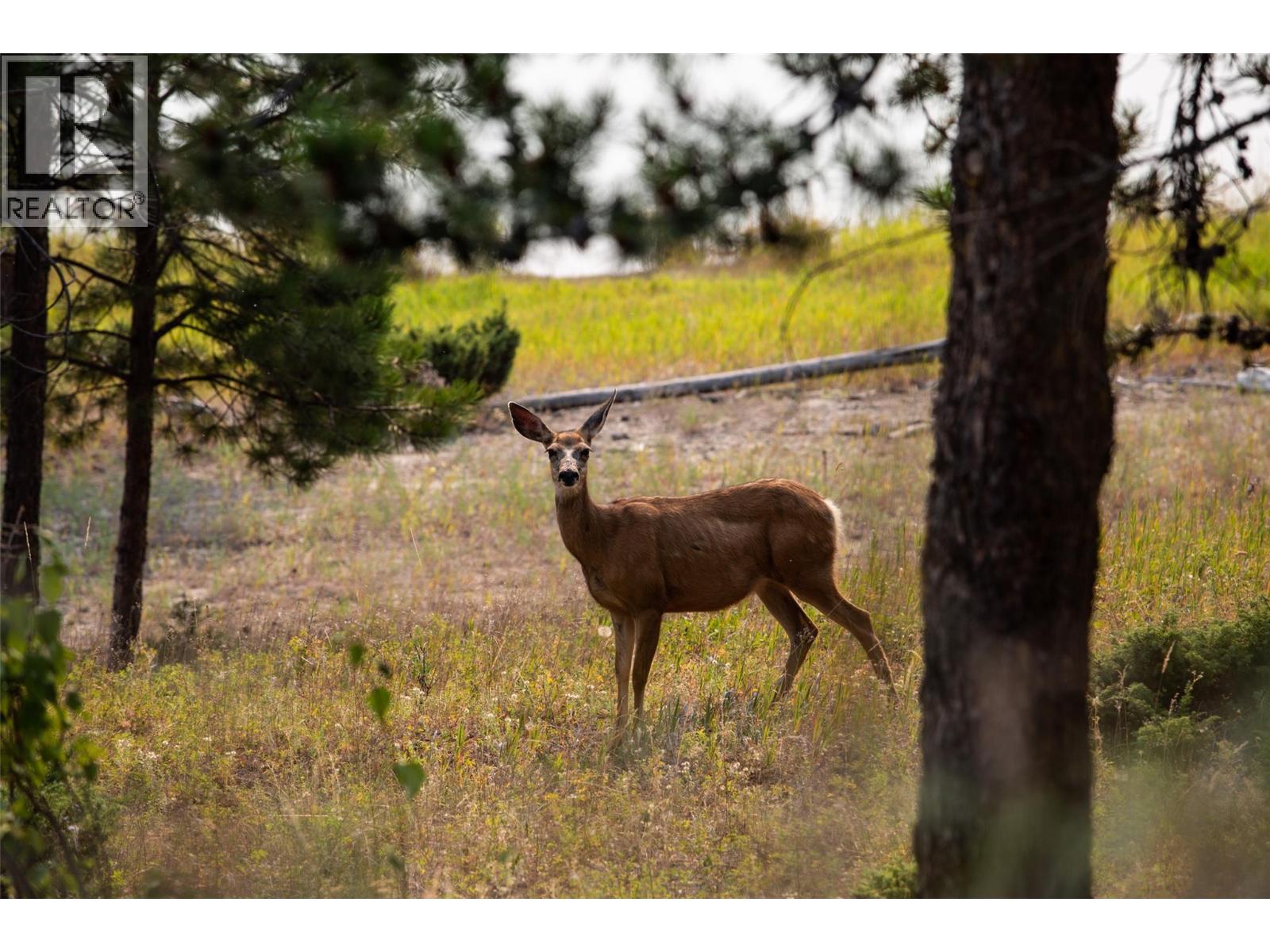 6347 OSPREY LANDING Court, Wardner