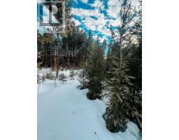 5724 Timothy Lake Road, Lac La Hache, BC V0K1T0 Photo 7