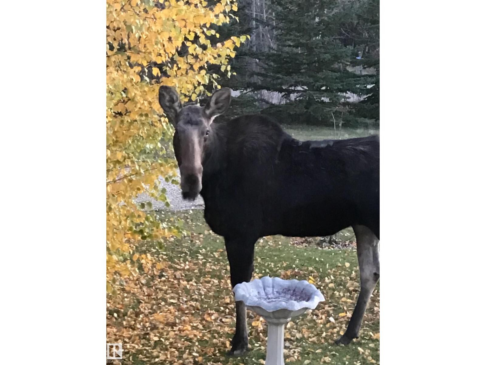 #370 50247 RGE RD 232, Rural Leduc County