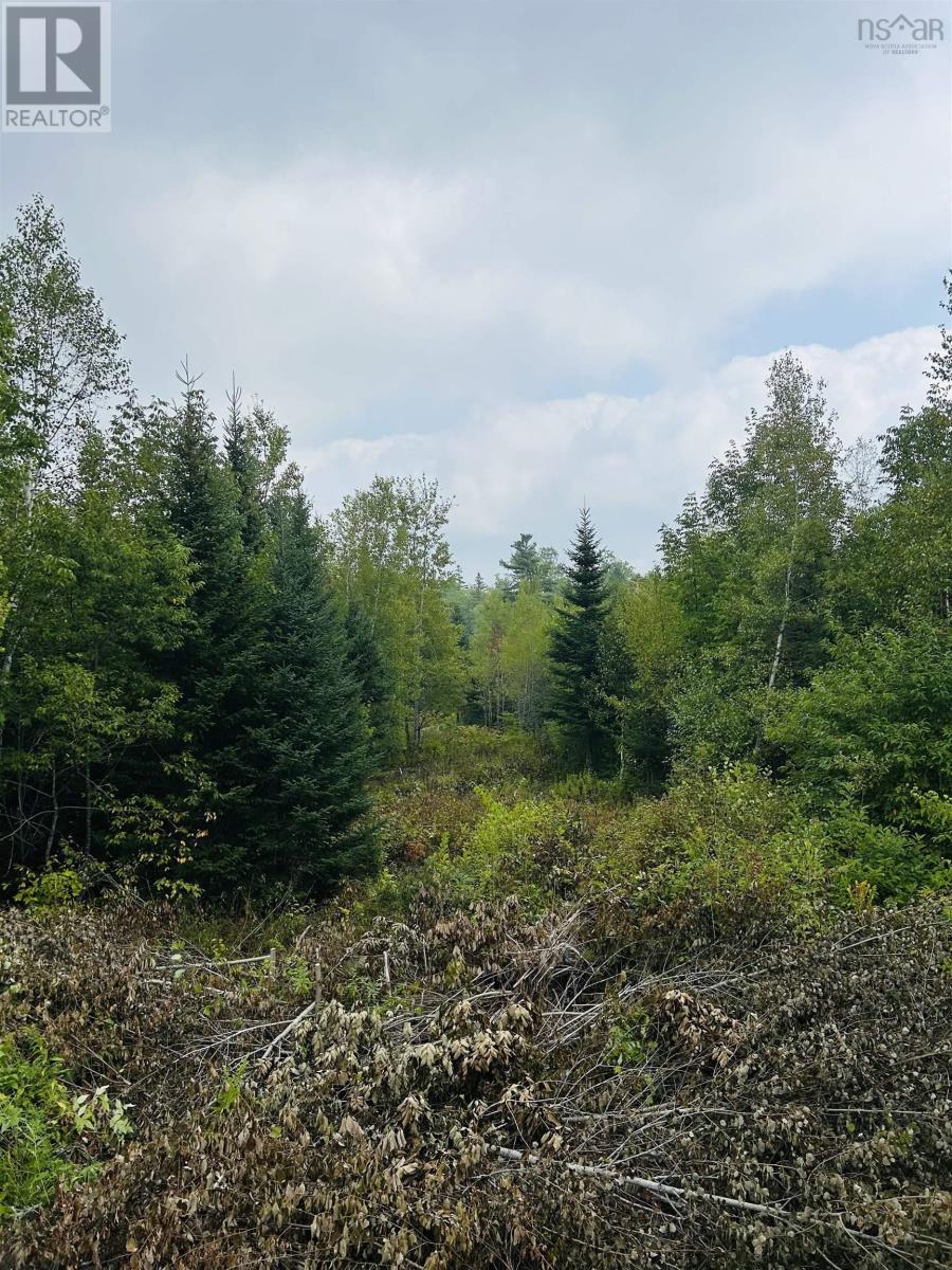 Property 14 of 15 of Lot Alpena Road